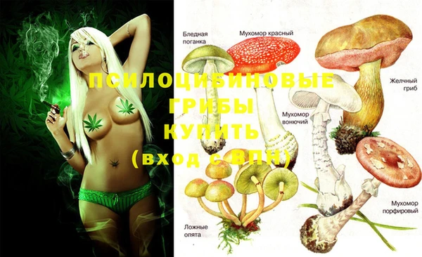 марки nbome Верея