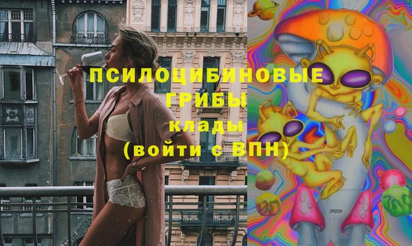 apvp Верхний Тагил