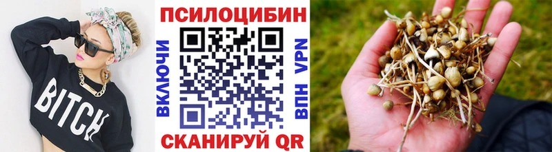 Псилоцибиновые грибы Magic Shrooms  Чехов 