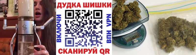 Канабис сатива  купить   Чехов 